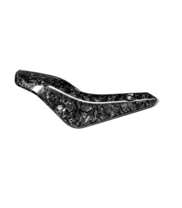 Escudo Térmico Akrapovič en Carbono para Yamaha MT 10 (22-24) P-HSY10SO6