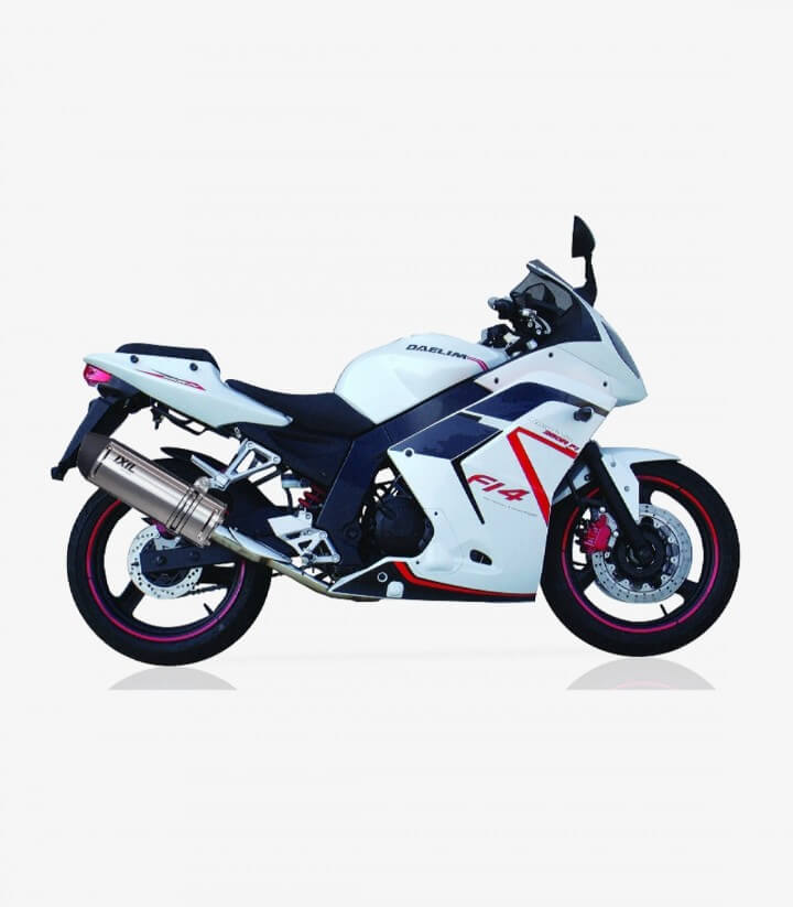 Auspuff OD5012VSE Ixil SOVE Stahl für Daelim Roadwin 125 R (07-15), 250 R (12-15)