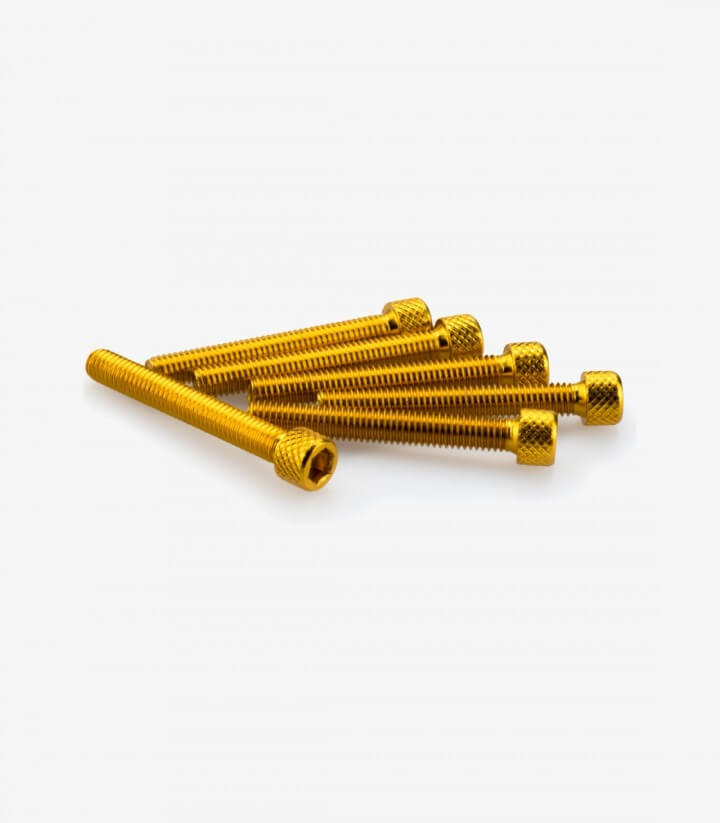 Blister 6 tornillos allen M6 x 45mm de aluminio en color Oro de Puig 0370G