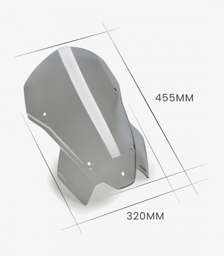 Windschild Puig New Generation Touring BMW M1000R (23-24), S1000R (21-24) Schwarz 20889N