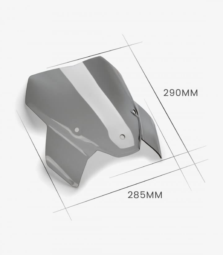 Windschild Puig New Generation Sport BMW M1000R (23-24), S1000R (21-24) Dunkel getönt 20886F
