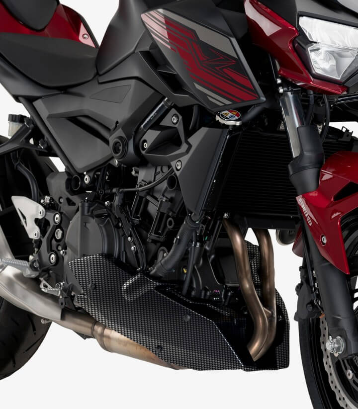 Quilla Kawasaki Z400 (19-21) Puig Carbono 3554C
