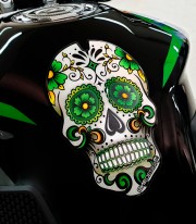 Protector depósito Skull color Verde de Puig 3673V