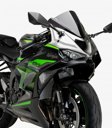 Winglets seitlich Race 21858V Puig Kawasaki ZX-6R Ninja (24-26) Grün