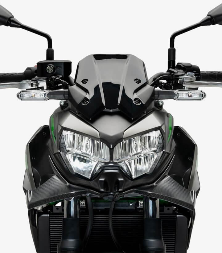 Winglets vorne Naked 21134C Puig Kawasaki Z650 (21-26) Carbon-Optik