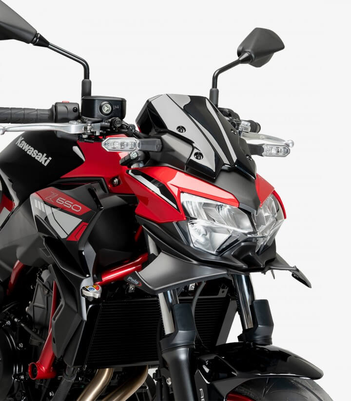 Winglets vorne Naked 21134J Puig Kawasaki Z650 (21-26) Mattschwarz