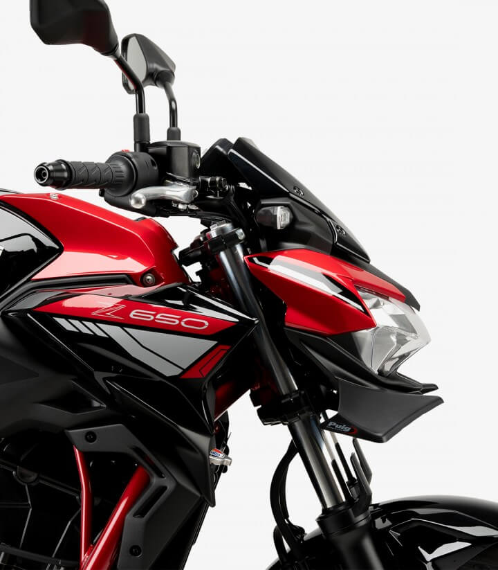 Winglets vorne Naked 21134J Puig Kawasaki Z650 (21-26) Mattschwarz
