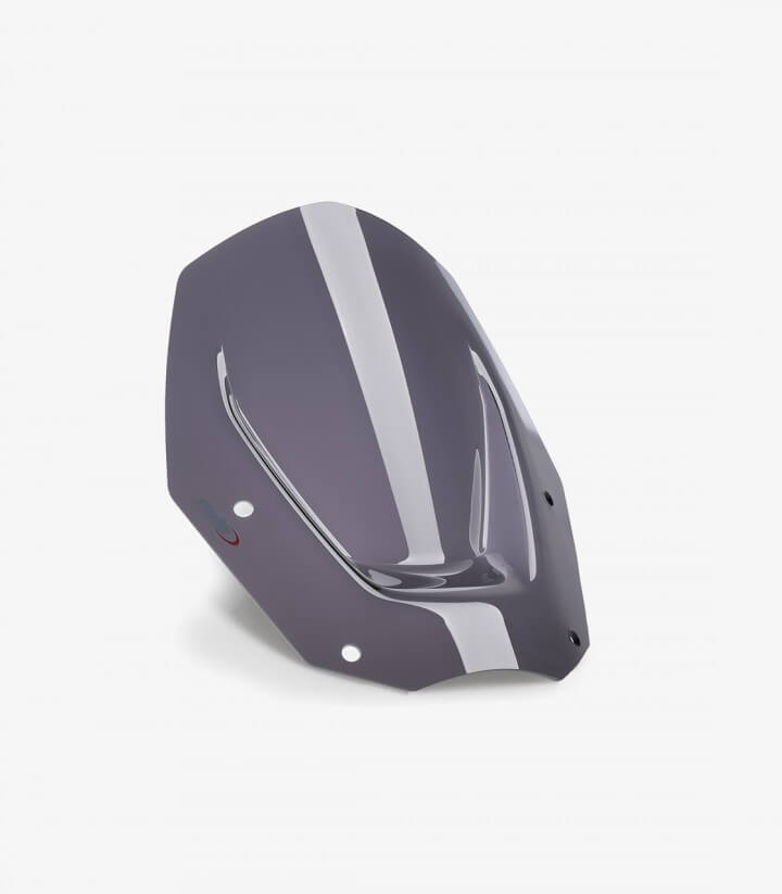 Windschild Puig Sport BMW R1300GS (23-26), R1300GS Adventure (24-26) Dunkel getönt 21794F