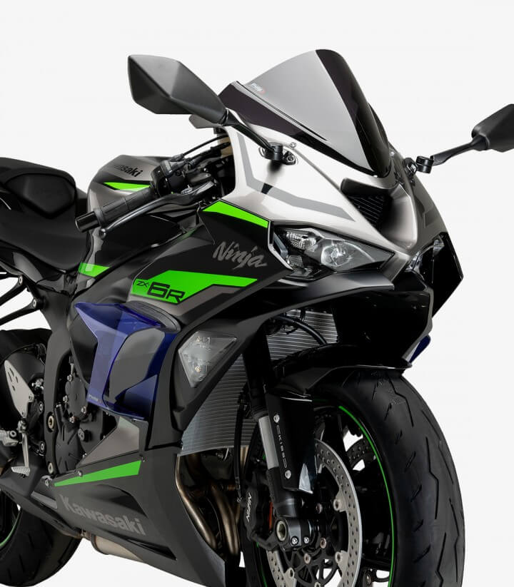 Alerones laterales Race 21858A para Kawasaki ZX-6R Ninja color Azul de Puig