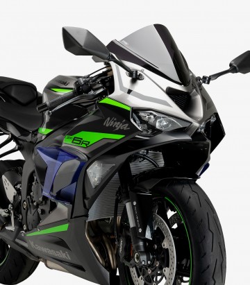 Alerones laterales Race 21858A para Kawasaki ZX-6R Ninja color Azul de Puig