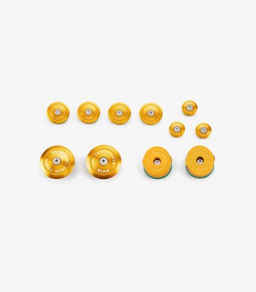 Aluminum Chassis Caps 21536O Puig BMW R1250R (18-25) Golden