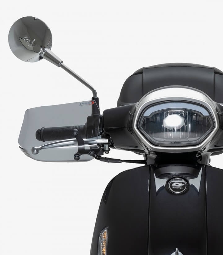 Paramanos Kawasaki J125 Puig Ahumado 3488H