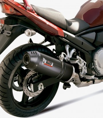 Auspuff MIVV Oval Carbon für Suzuki Bandit GSF650, GSX650F (07-15) S.030.LEC