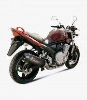MIVV Oval Exhaust Carbon for Suzuki Bandit 650 / GSX 650 F (07-15) S.030.LEC