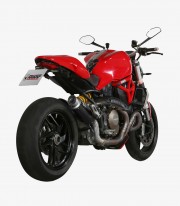 MIVV GP PRO Exhaust Carbon for Ducati Monster 1200 / S (14-16) D.030.L2P