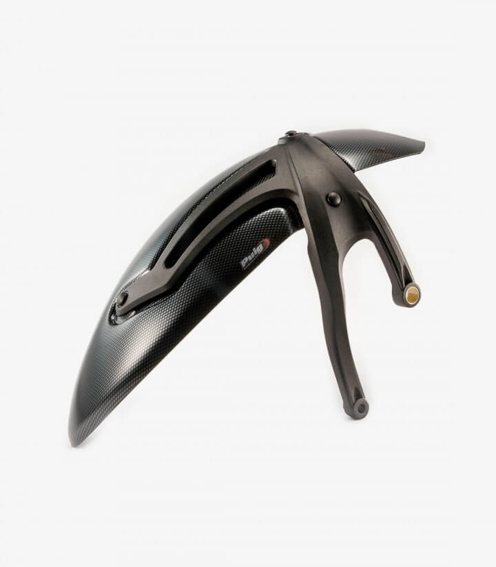 Kotflügel hinten BMW R nineT (14-24), R12 G-S (25-26), R12 nineT (24-26) Carbon-Optik Puig 7023C