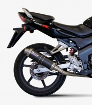 Escape MIVV GP Carbono para Honda CBR 125 R (04-10) H.043.L2S