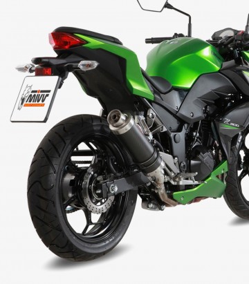 MIVV GP Auspuff Carbon für Kawasaki Ninja  300 (13-16), Z300 (15-16) K.038.L2S