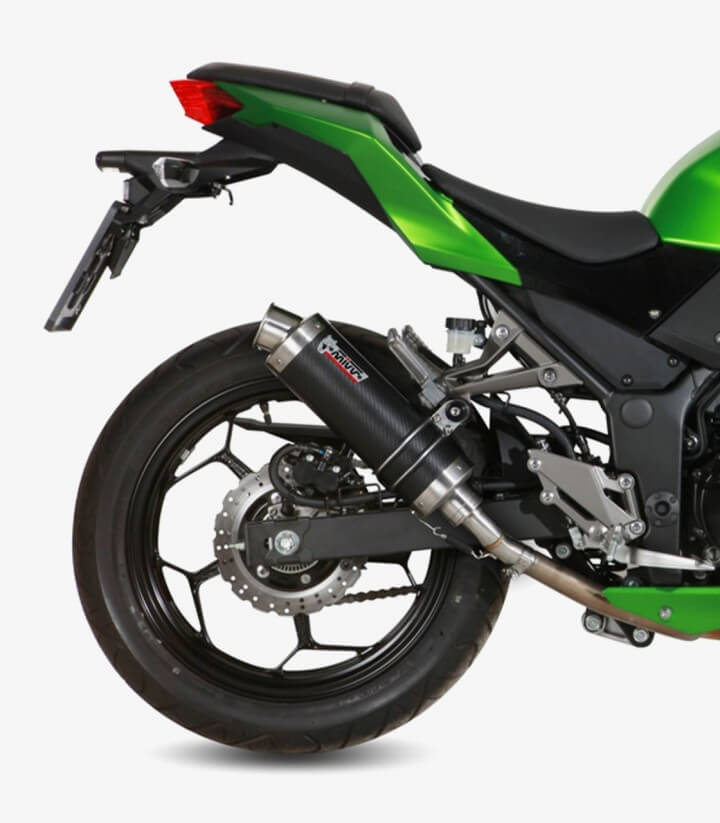 MIVV GP Auspuff Carbon für Kawasaki Ninja  300 (13-16), Z300 (15-16) K.038.L2S