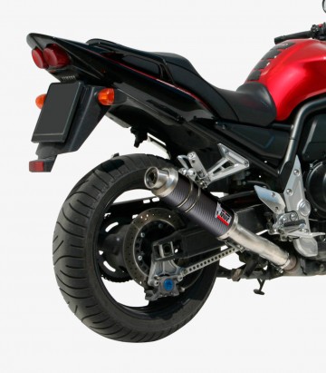 MIVV GP Auspuff Carbon für Yamaha FZS 1000 Fazer (01-05) Y.009.L2S