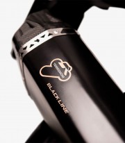 Termignoni Scream ADV Exhaust stainless steel for BMW R 1200 GS (17-19) BW1508040IBC