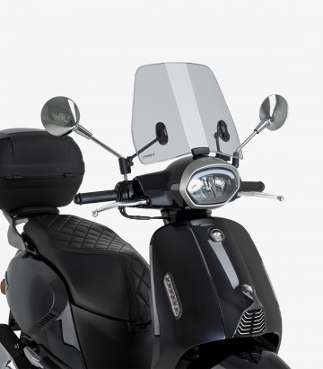 Pantalla Puig Trafic QJ LTR 125 (25) Ahumado 22451H