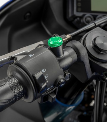 Spiegelgewinde-Abdeckkappen Puig Grün 21804V für universal