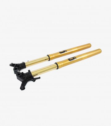 Öhlins Vordergabel für Honda CRF1000L/1100L Africa Twin (16-24) FFHO 101