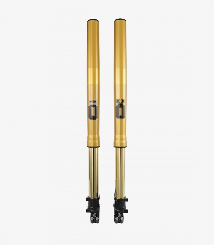 Horquilla Delantera Öhlins Honda CRF1000/1100L Africa TWIN (16-24) FFHO 101
