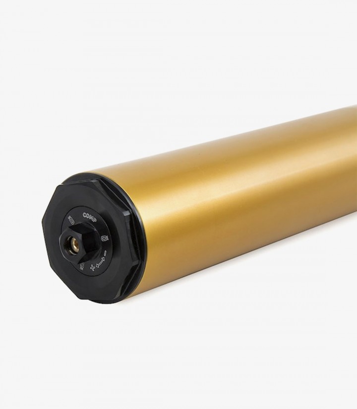 Öhlins Vordergabel für Honda CRF1000L Africa Twin (18-19) FFHO 102