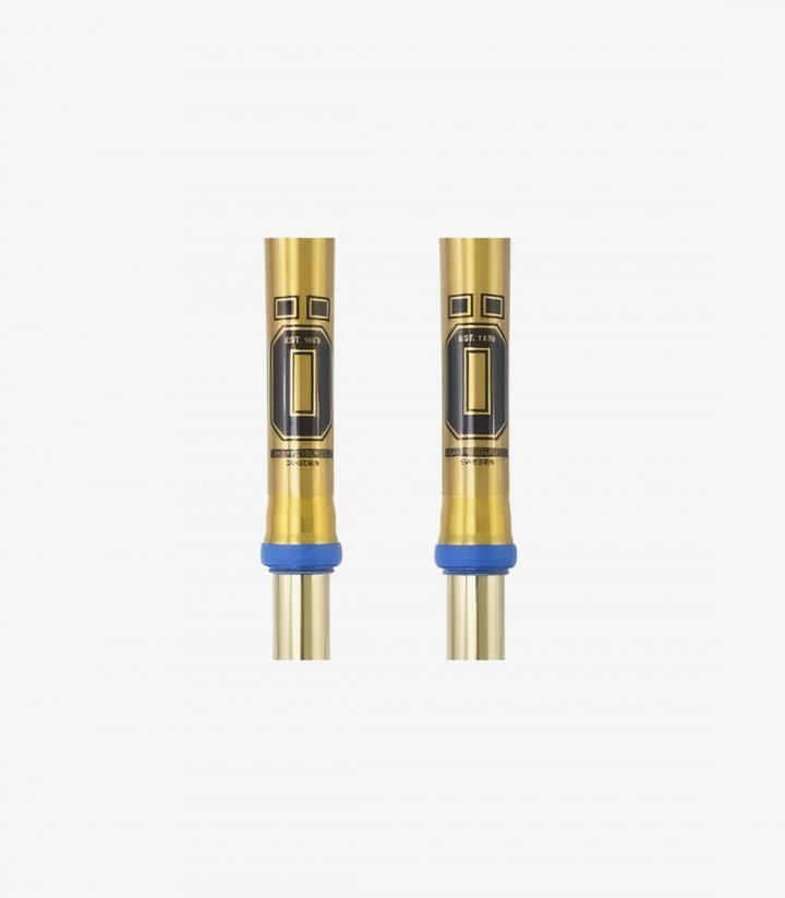 Öhlins Vordergabel für Kawasaki KXF 250 (21-22), KXF 450 (19-22) FFX 0204