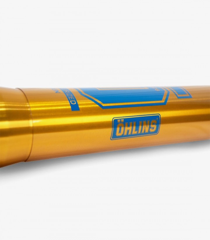 Öhlins Vordergabel für Beta RR 125 2T, RR 2T 200/250/300, RR 4T 350/390/430/480 (19-25) FFX 1302