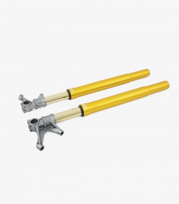 Öhlins Vordergabel für Yamaha MT-10 (24), YZF-R1 (15-26), YZF-R6 (14-15, 17-25) FGR 252