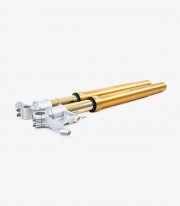 Horquilla Delantera Öhlins Honda CBR1000RR-R Fireblade (20-25) FGRT 236