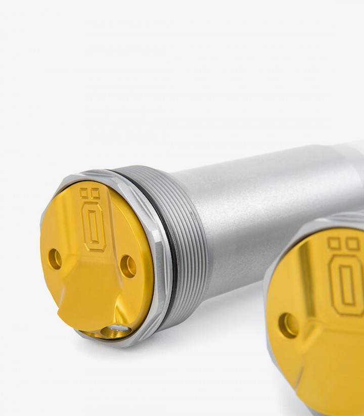 Öhlins Gabelkartusche für GASGAS MC 85 (20-25), Husqvarna TC 85 (18-25), KTM 85 SX (18-25) FCX 0101
