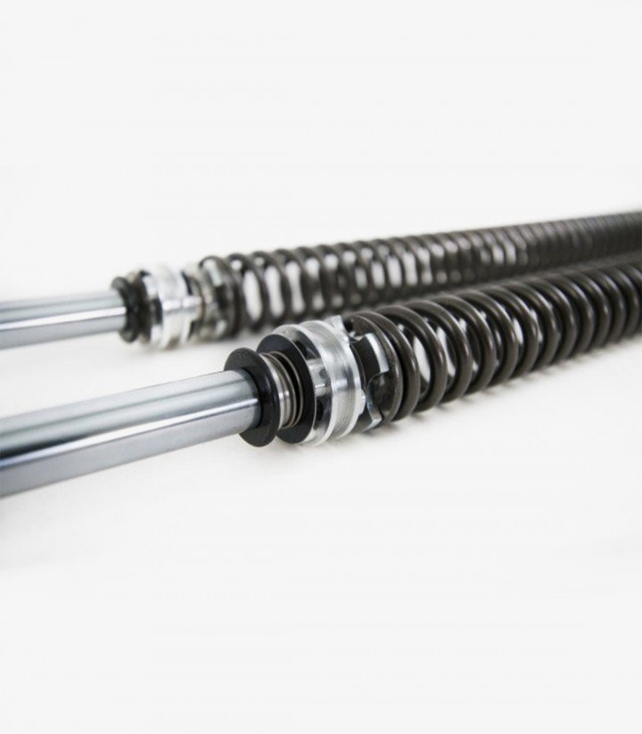 Öhlins Fork Cartridge for Kawasaki Z125 (15-23) FDK 106