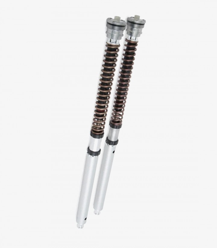 Cartucho Horquilla Öhlins para Kawasaki Ninja ZX-10R/RR (11-15) FGK 216