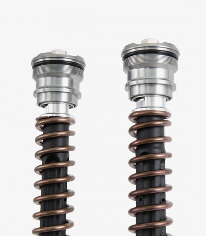 Cartucho Horquilla Öhlins para Honda CBR1000RR/-R Fireblade (20-24) FGK 241