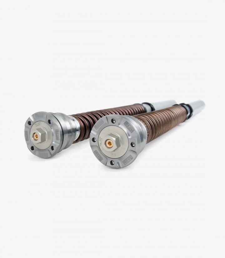 Öhlins Gabelkartusche für Aprilia RS 660 (20-25) FGK 243