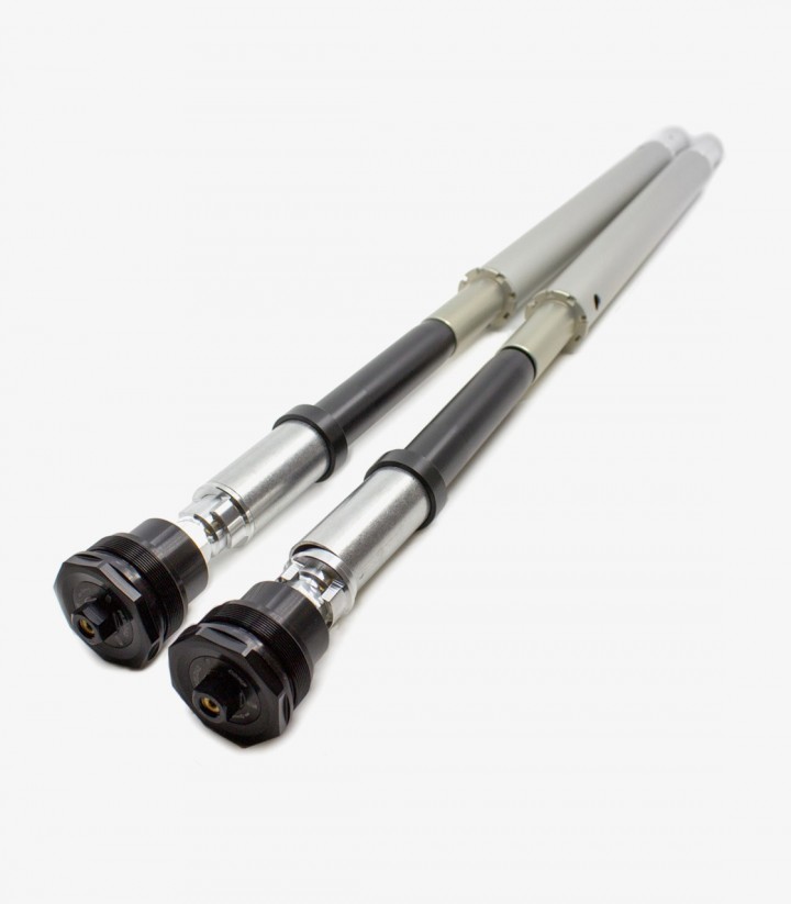 Cartucho Horquilla Öhlins para Harley-Davidson Pan America (21-25) FKA 119