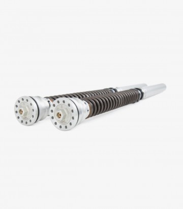 Cartucho Horquilla Öhlins para Kawasaki Ninja ZX -6R (13-24) FKR 123