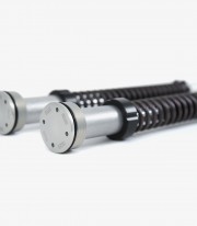 Öhlins Fork Cartridge for Ducati Panigale V4 R / S (19-25) FKR 124