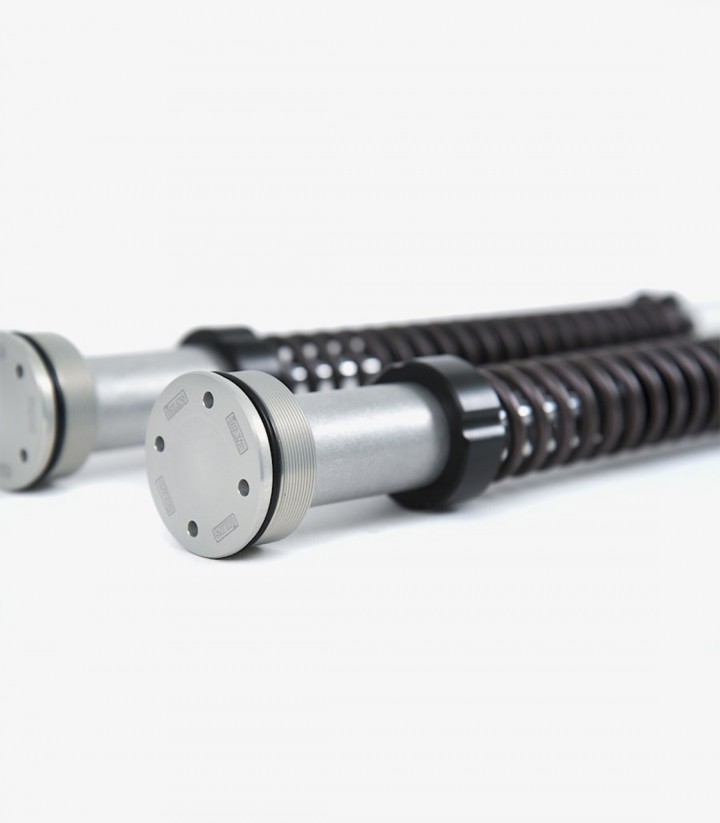 Öhlins Gabelkartusche für Yamaha YZF-R1M (20-25) FKR 126