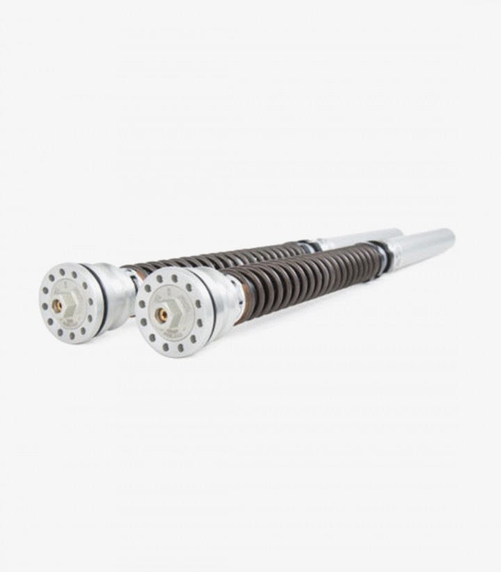 Cartucho Horquilla Öhlins para Ducati Panigale V4 R / S (22-25) FKR 129