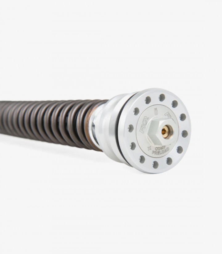 Cartucho Horquilla Öhlins para Ducati Panigale V4 R / S (22-25) FKR 129