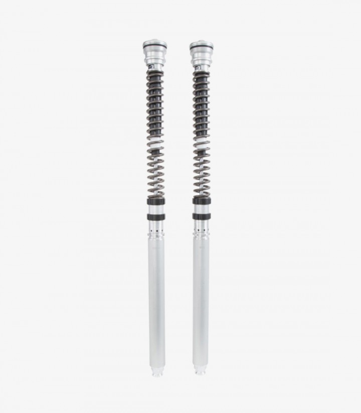 Cartucho Horquilla Öhlins para Ducati Panigale V4 R / S (22-25) FKR 129