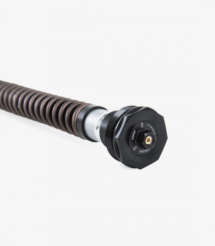 Cartucho Horquilla Öhlins para Suzuki SV 650 / S (16-25) FKS 217