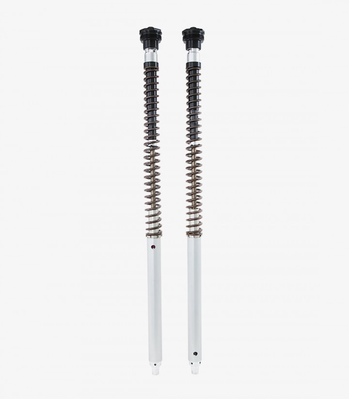 Cartucho Horquilla Öhlins para varios modelos de Harley Davidson FKS 221