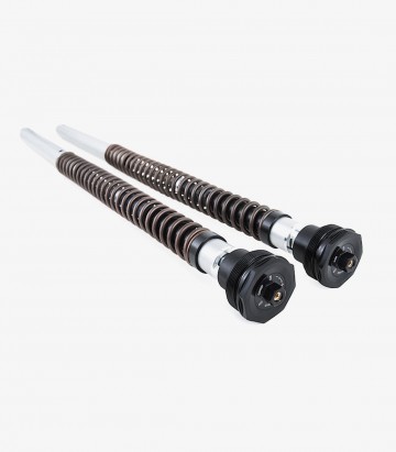 Öhlins Gabelkartusche für Ducati Scrambler 1100 (18-20), Scrambler Desert Sled (24) FKS 512
