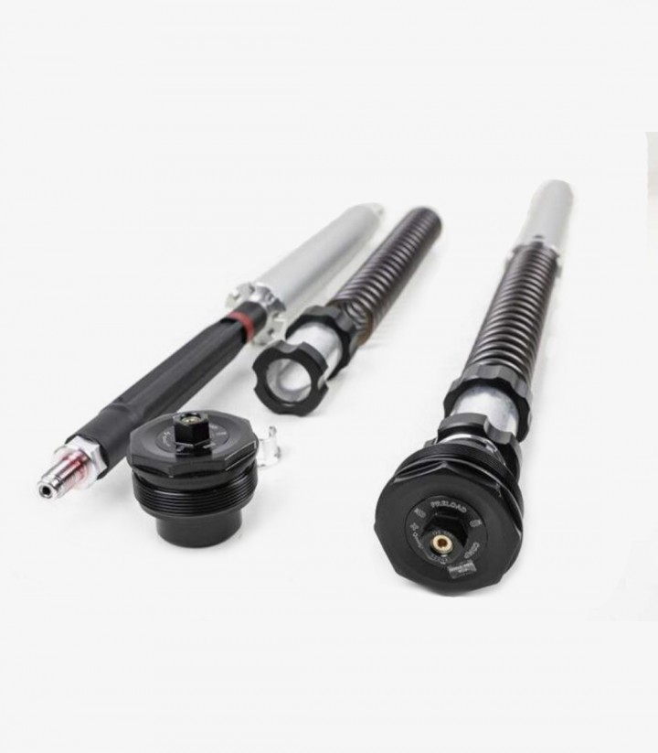 Cartucho Horquilla Öhlins para Harley-Davidson FLTRXSE CVO ROAD Glide Custom (23-24) FKS 527